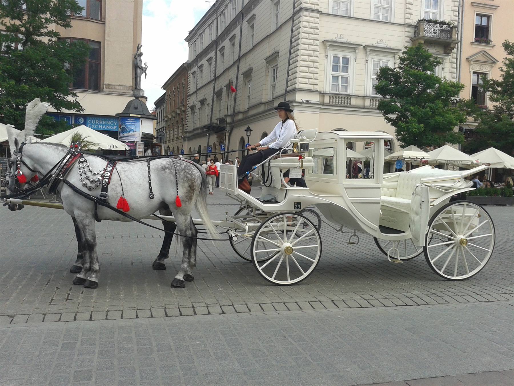 Cracovia