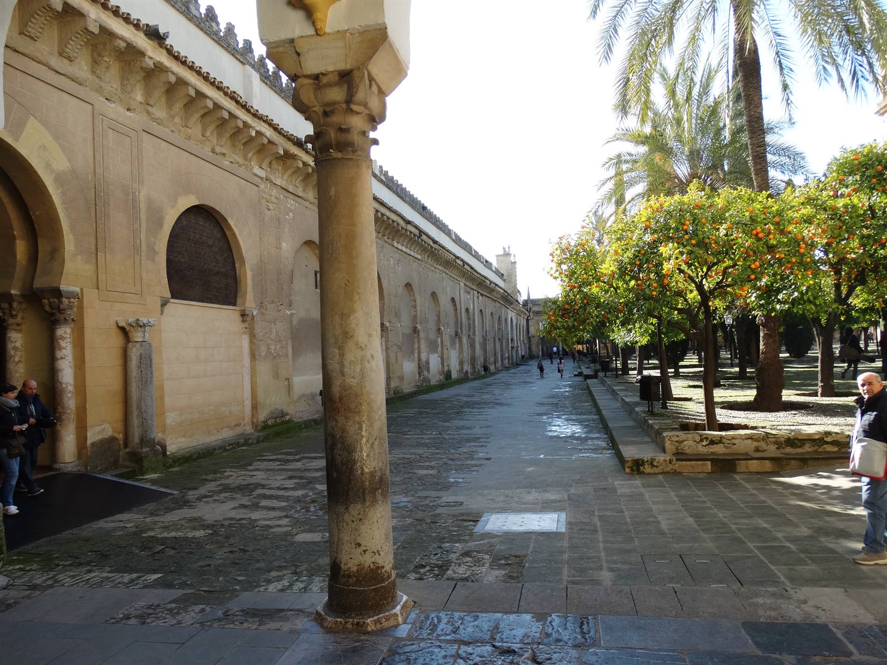 Cordova, La Mezquita, Patio de los Naranjas