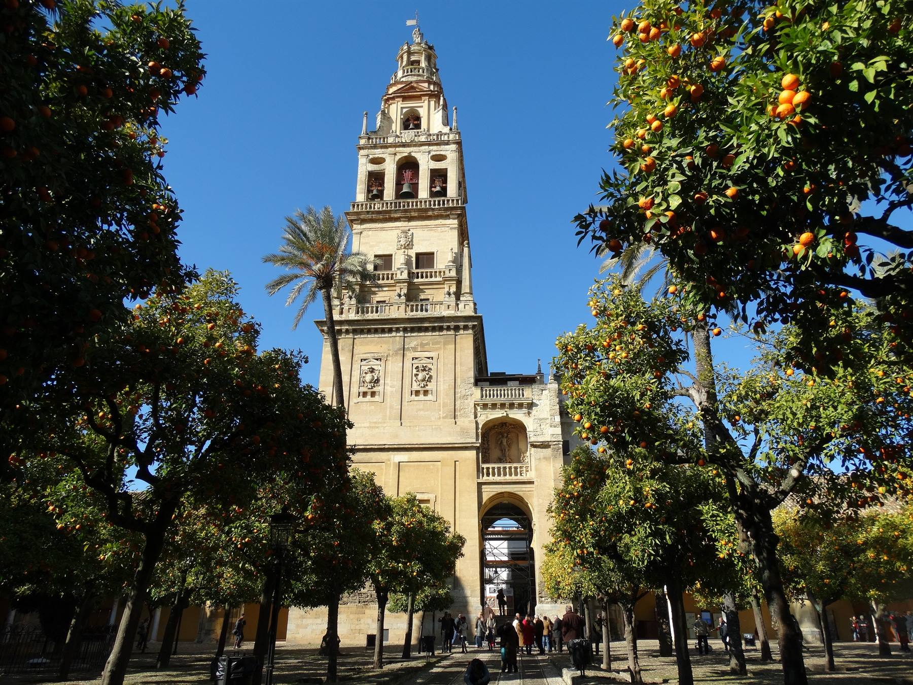 Cordova, La Mezquita, Patio de los Naranjas