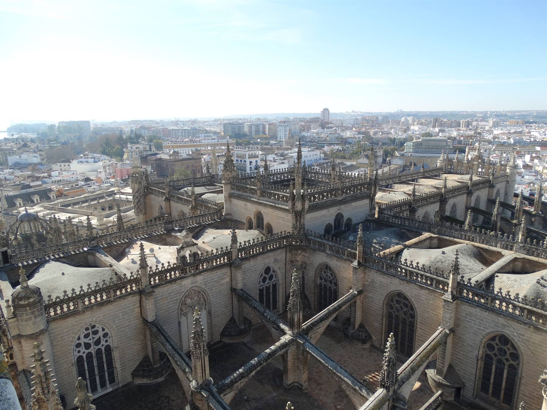 Siviglia, Cattedrale