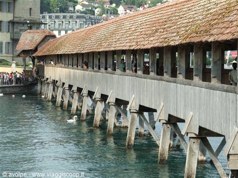 lucerna