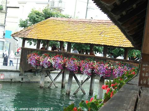 lucerna