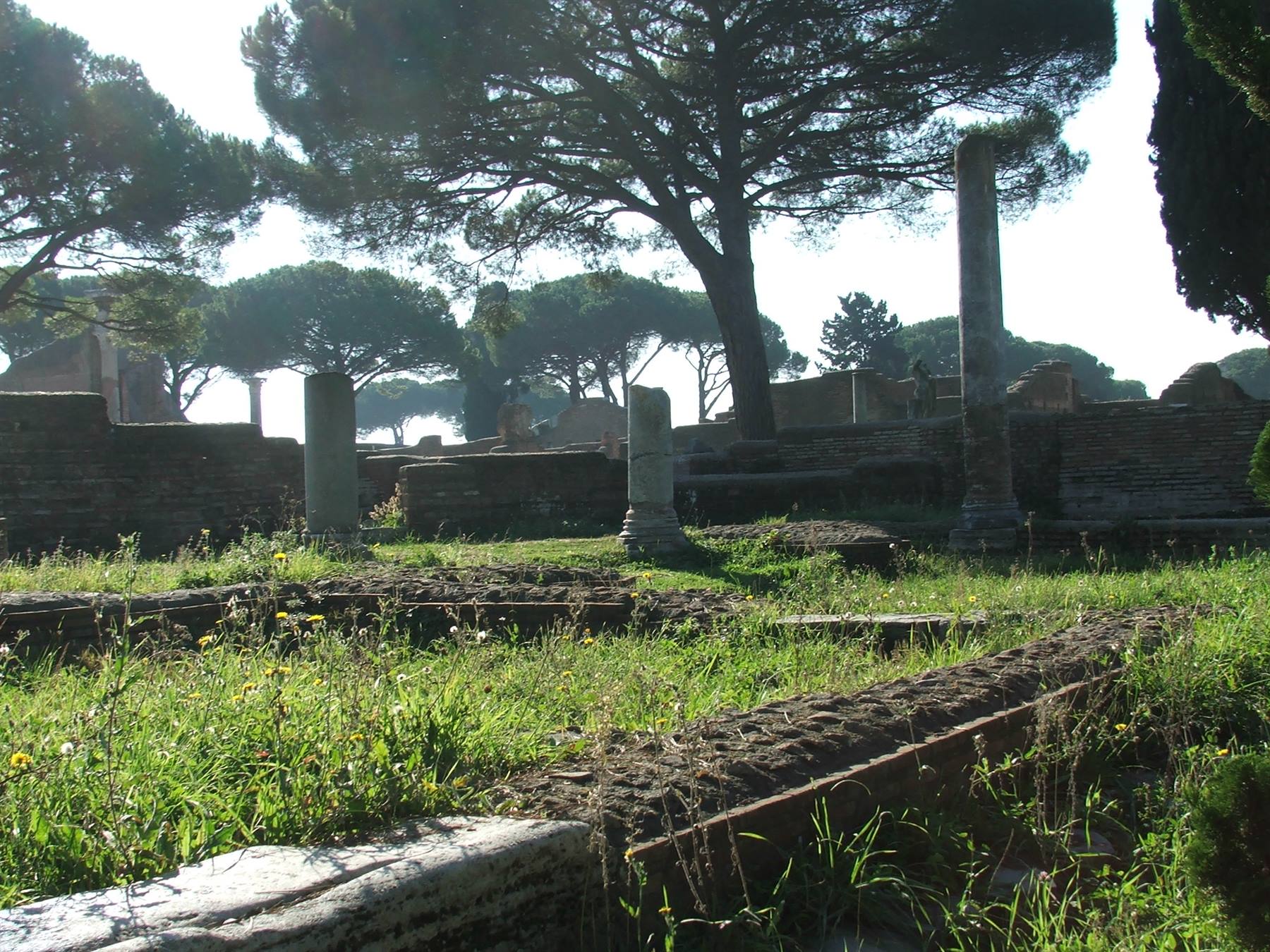 vsione d'insieme