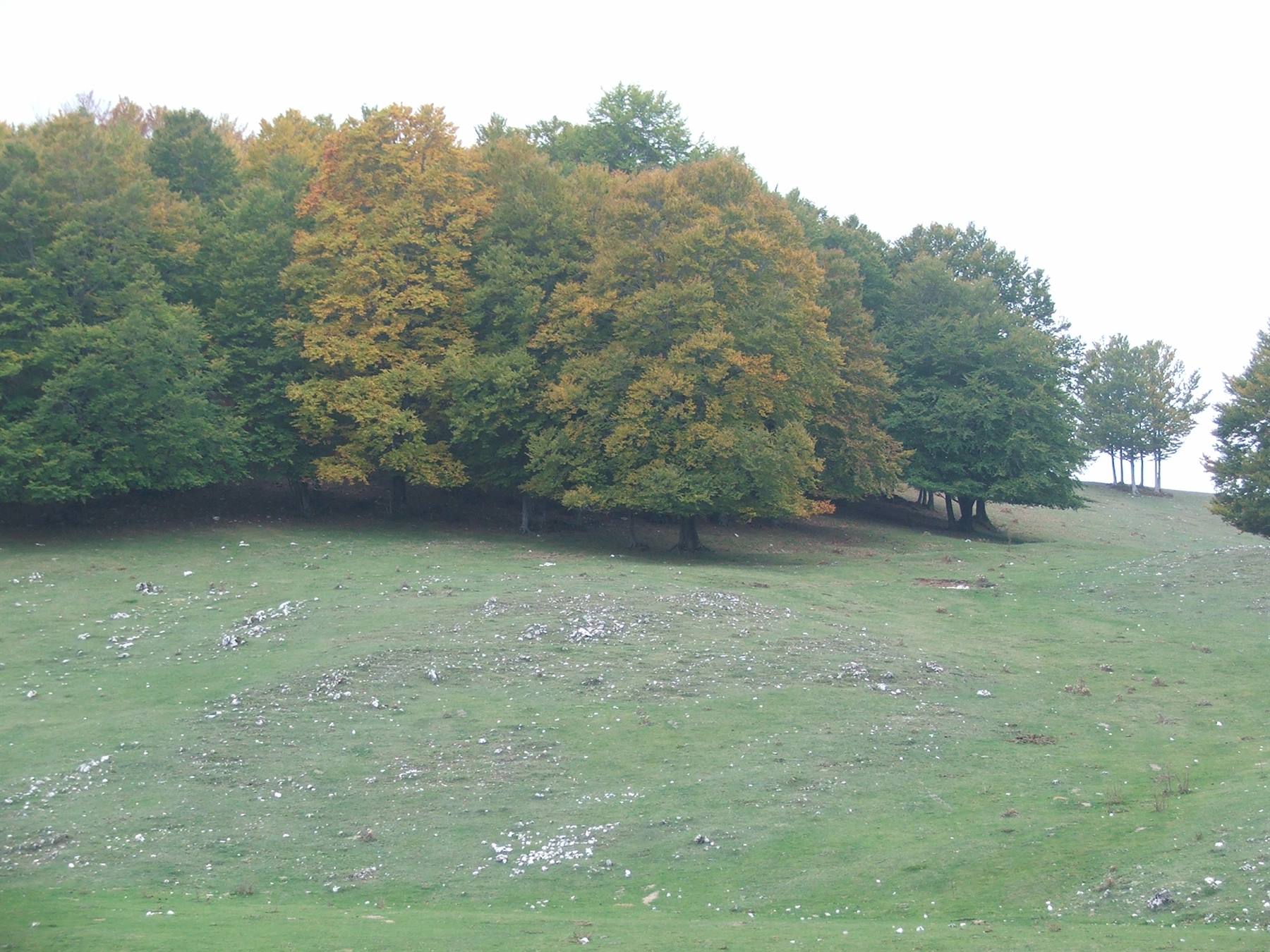 Monte livata,colori autunnali