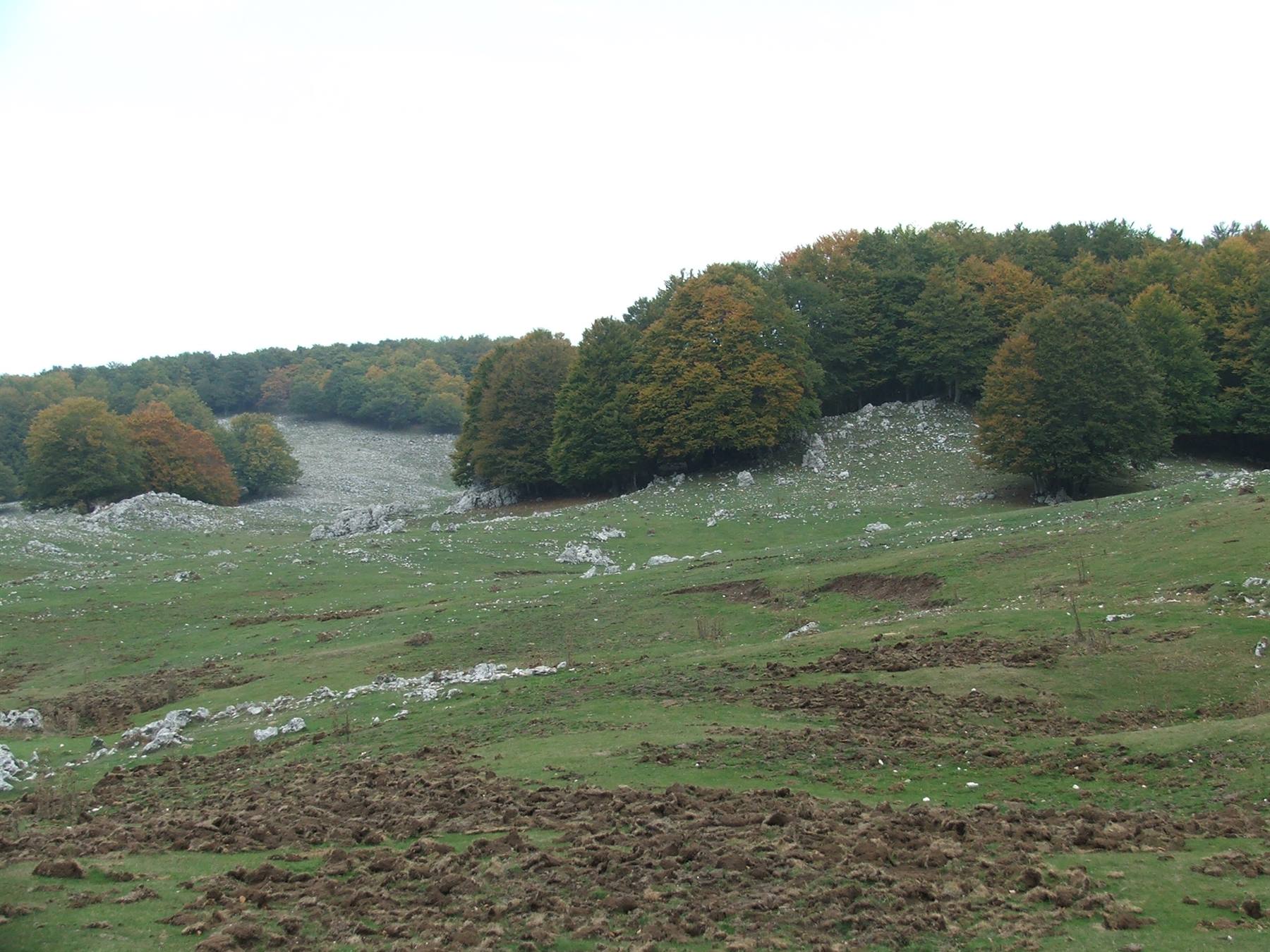 Monte Livata