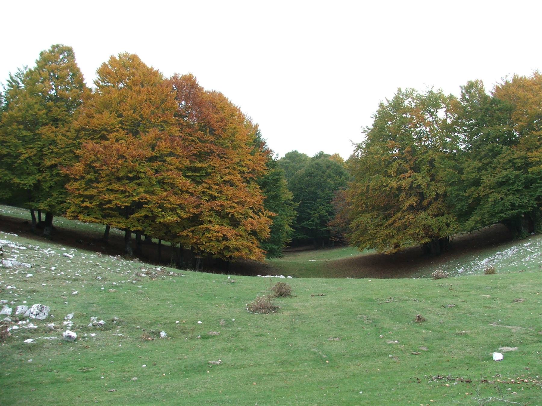 Monte Livata
