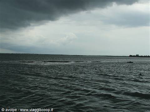 Sacca di Goro,Parco del Delta