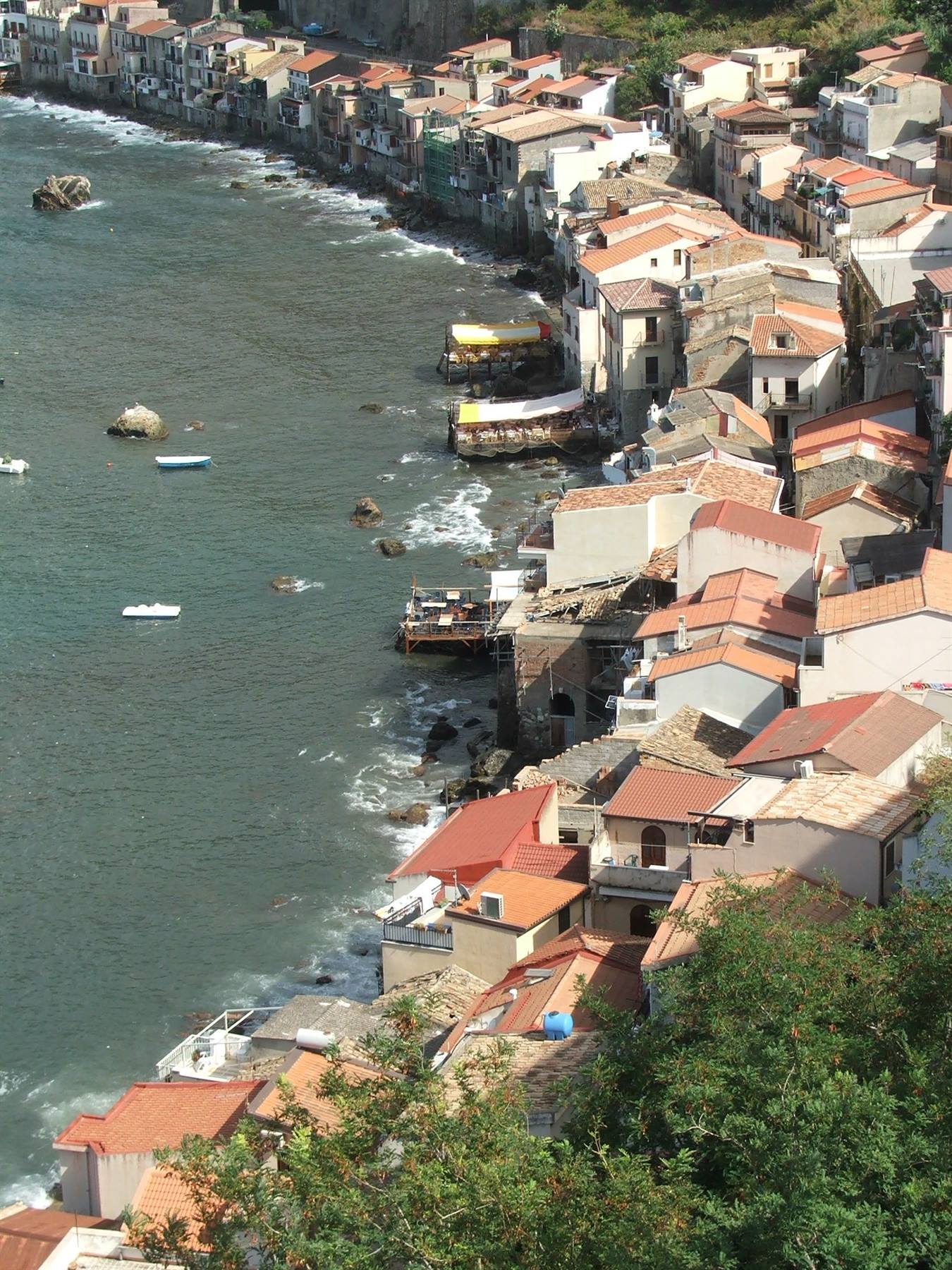 Scilla