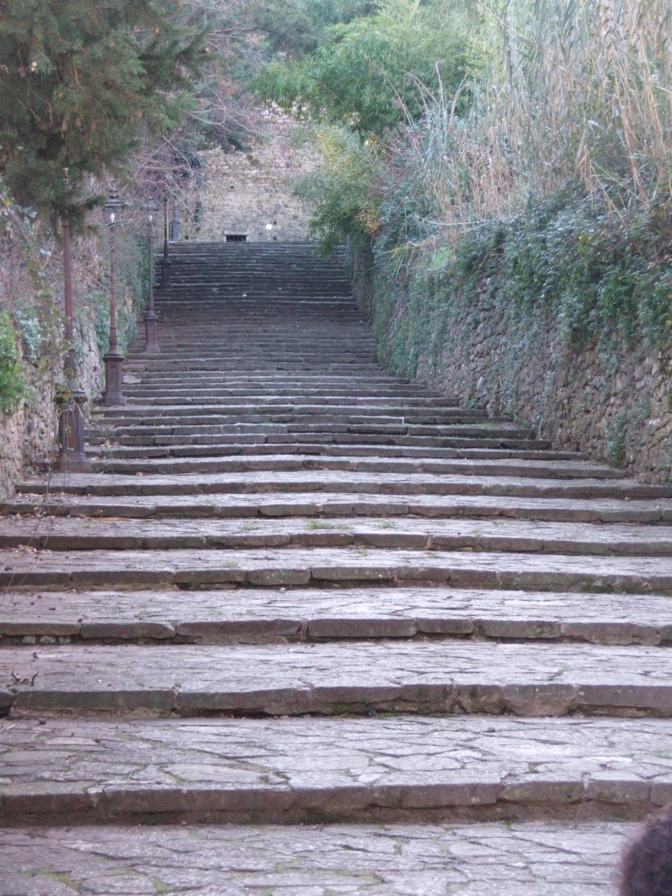 Volterra