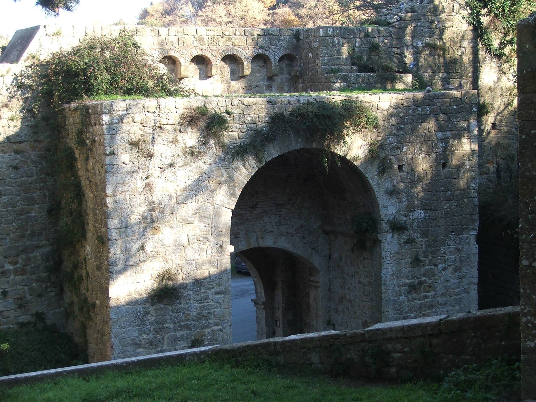 Volterra