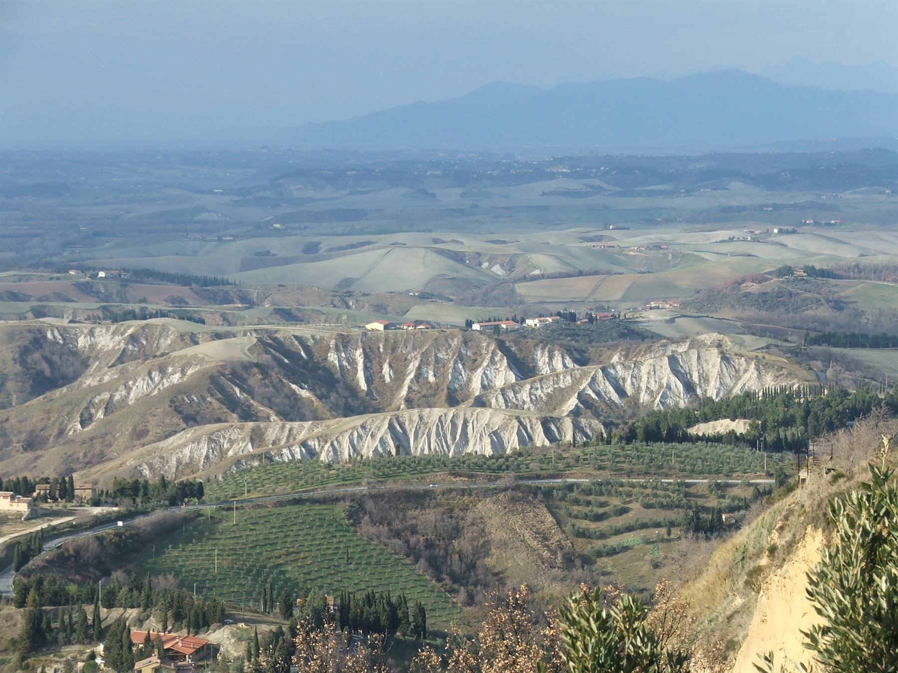 Calanchi senesi  attorno alle vigne