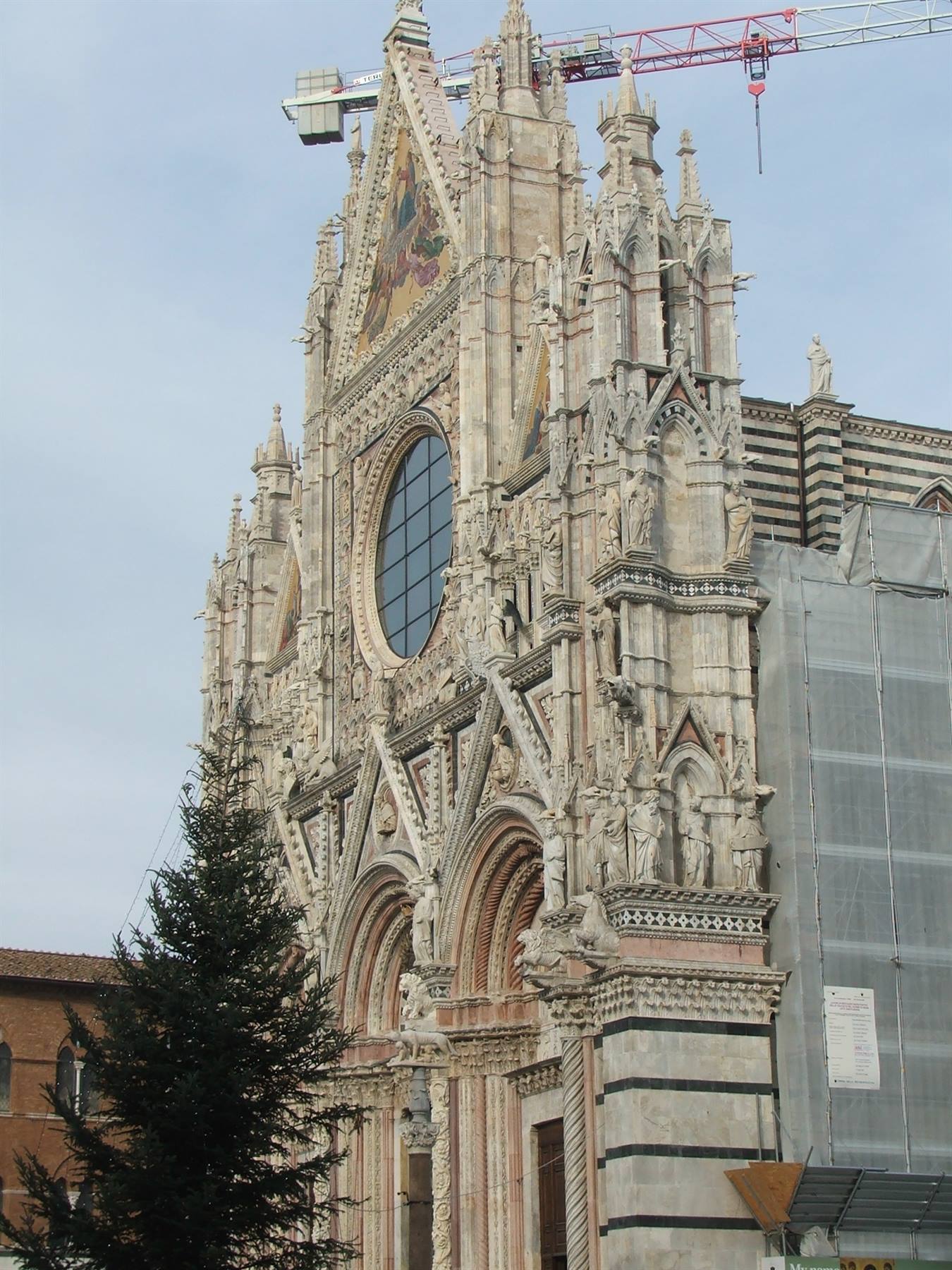 Siena