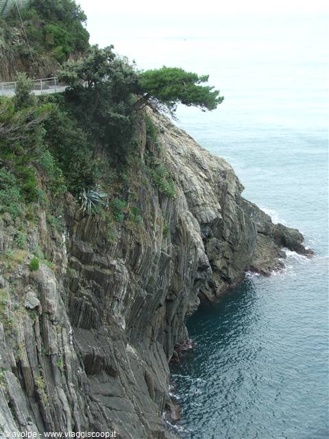 La via dell'Amore
