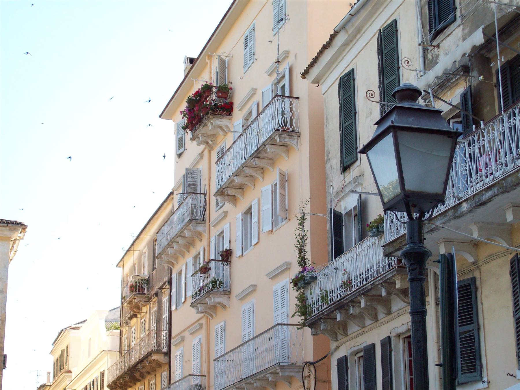 Corfu' dallo scooter riesco a scattare questa.. che fotografa!!