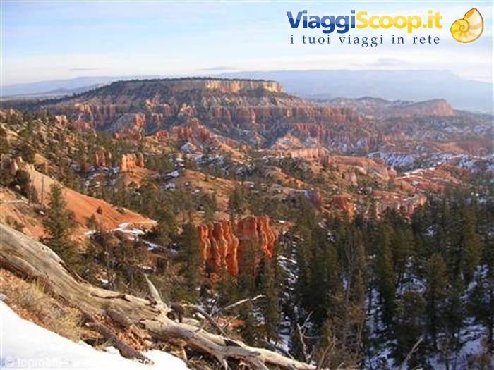 Bryce Canyon ( Utah )