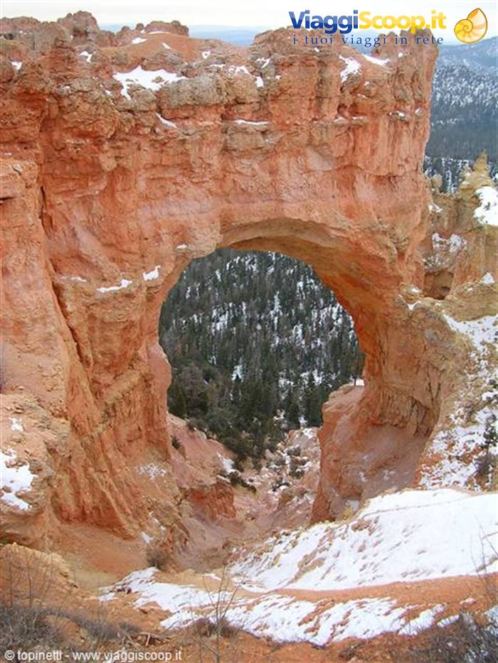 Bryce Canyon ( Utah )