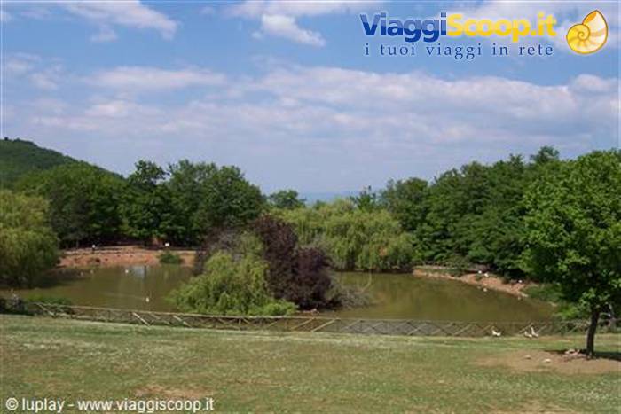 parco cavriglia