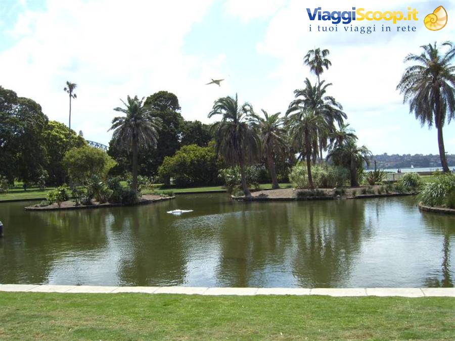 Royal Botanic Garden