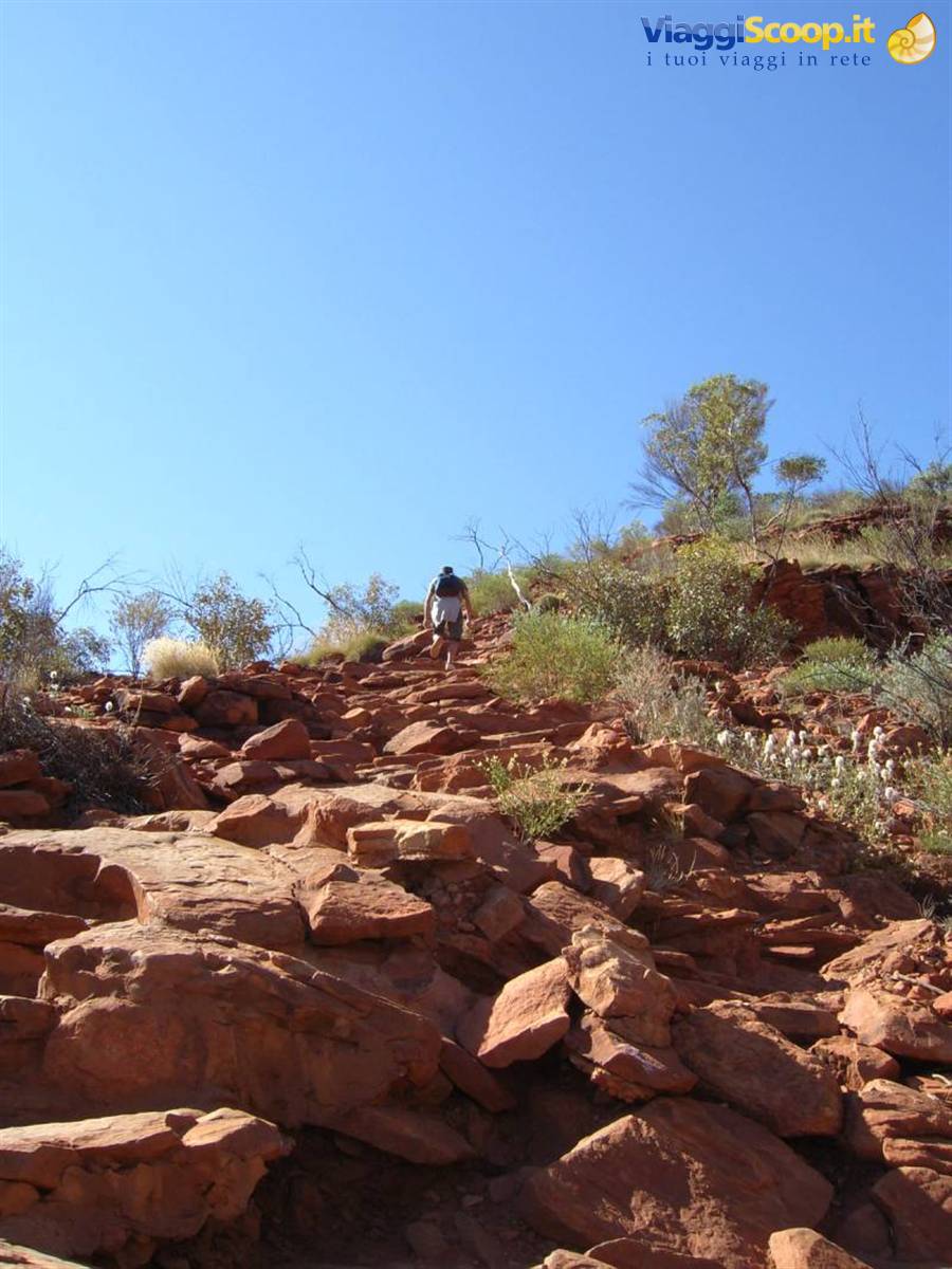 King's Canyon