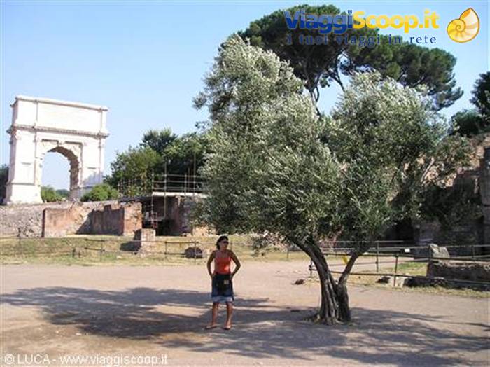 Fori Imperiali, Yoli ed arco di Tito
