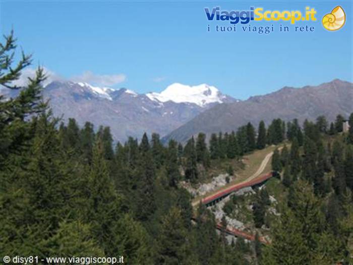 Vista Orso Bruno