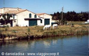 Aigues Mortes – veduta dai canali