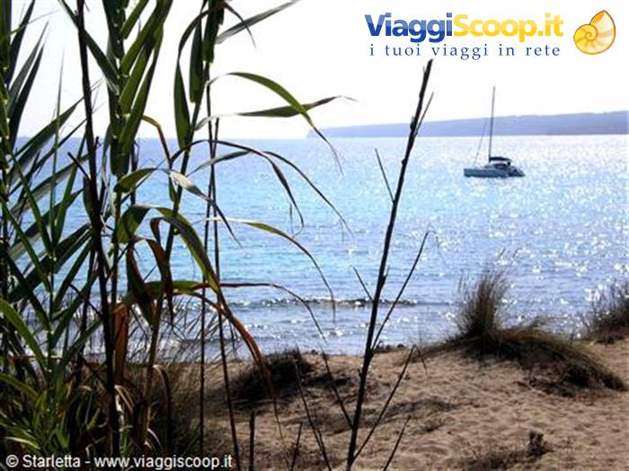 una spiaggia meglio dell'altro...