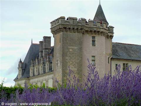 Lavanda attorno a Villandry
