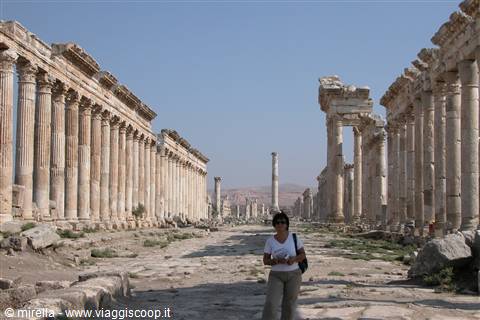 APAMEA