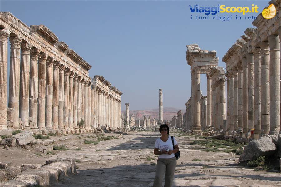 APAMEA
