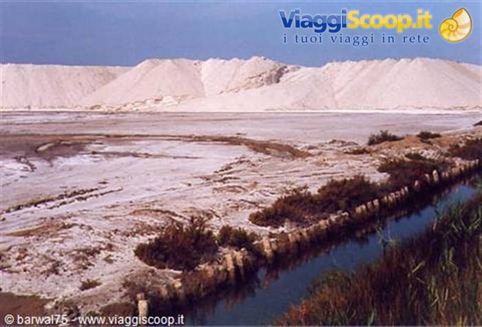 Camargue