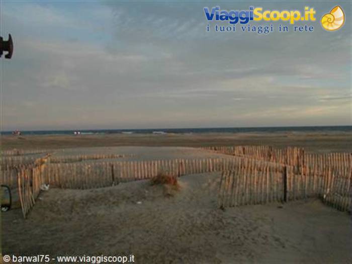 Camargue