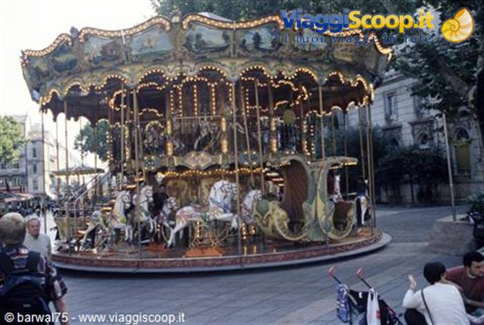 Avignone