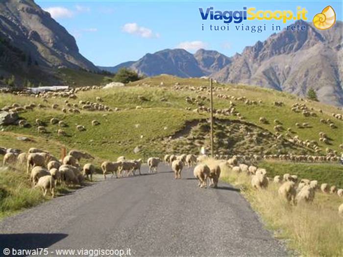 alpi francesi..