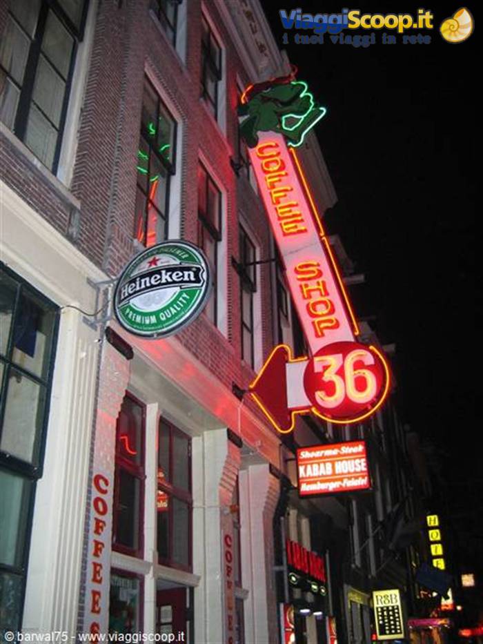 Coffee shop 36