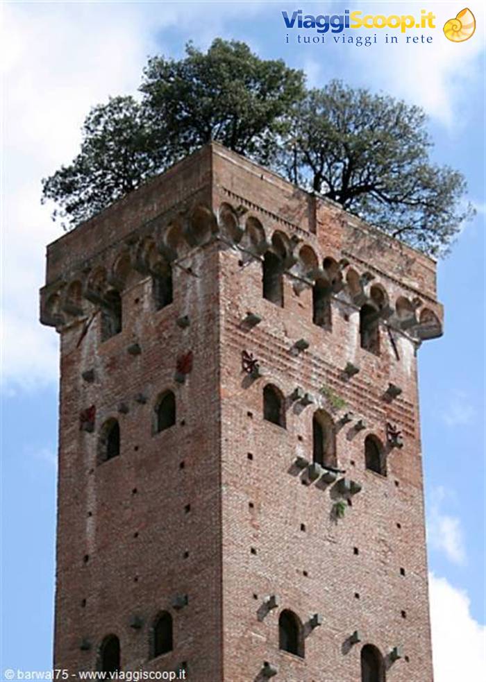 Lucca