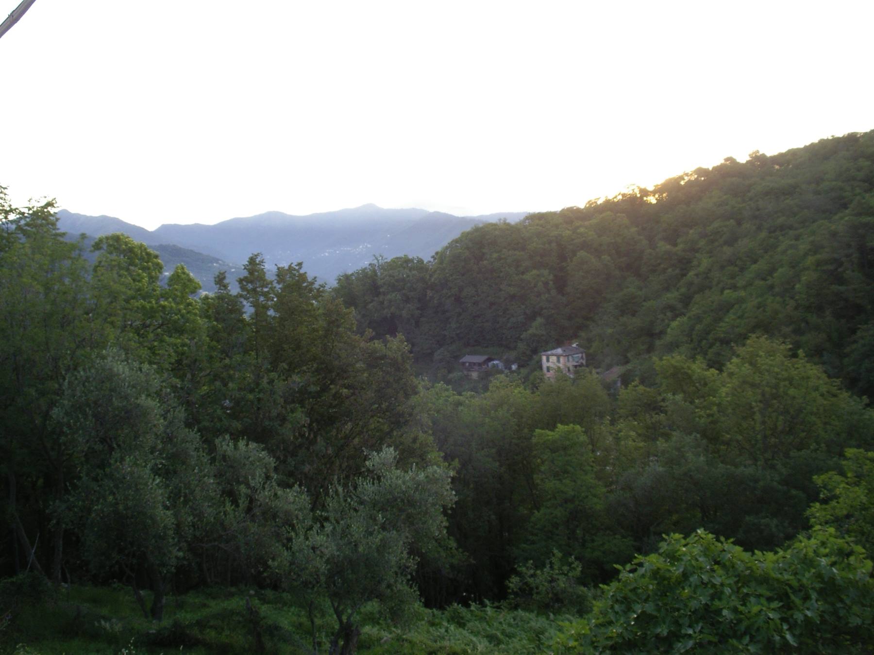 Dalla finestra della casa