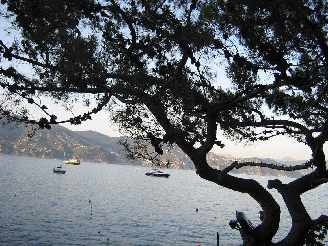 Verso Portofino