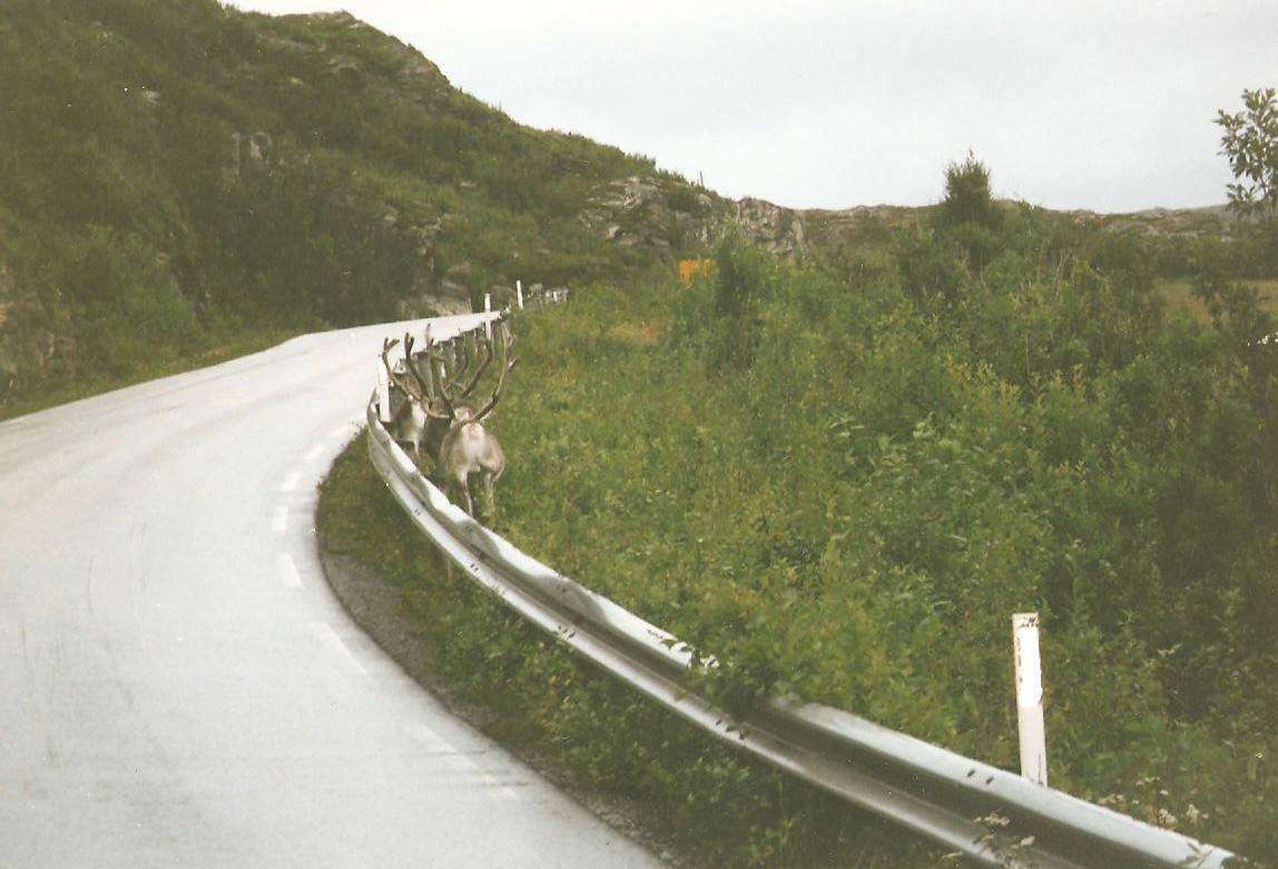 Verso CAPONORD 