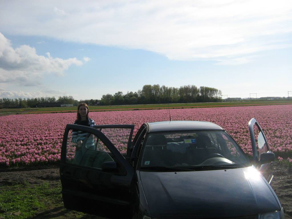 La mia vecchia polo in mezzo ai tulipani