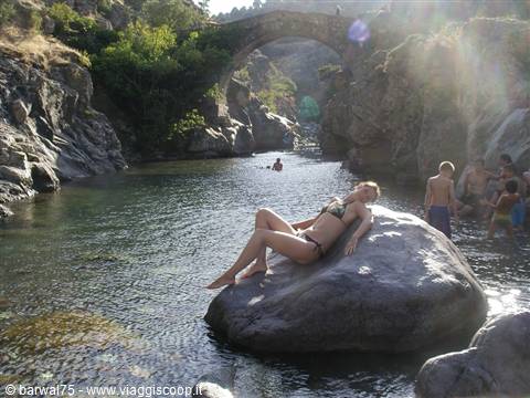 Ponte genovese