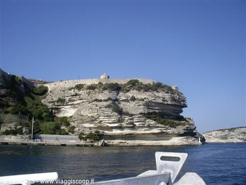 Bonifacio