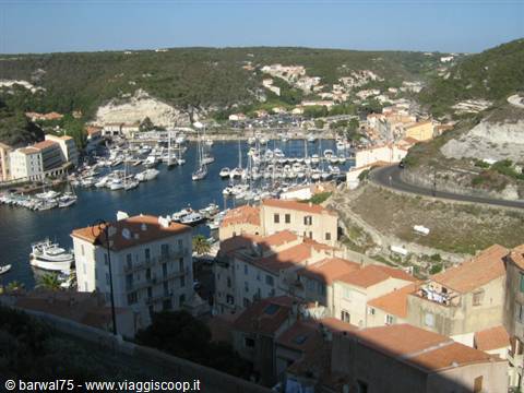 Bonifacio