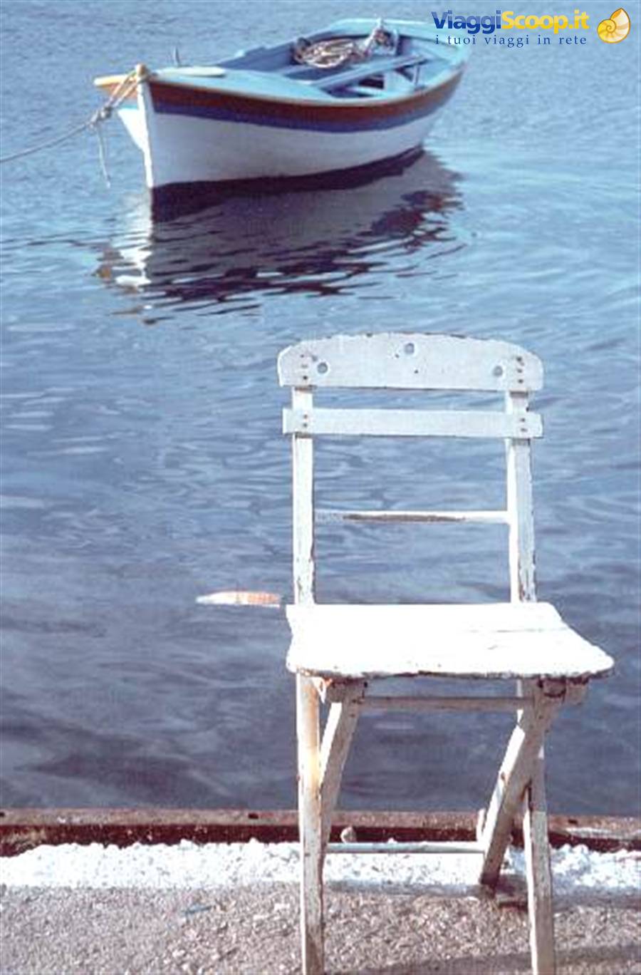 foto di gattadapelare