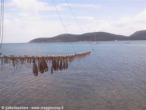 Antiparos