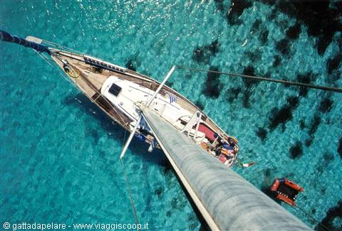 La barca Gattadapelare