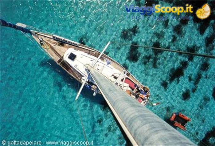 La barca Gattadapelare
