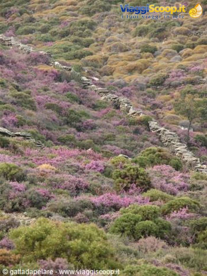 Foto di viaggio in GRECIA