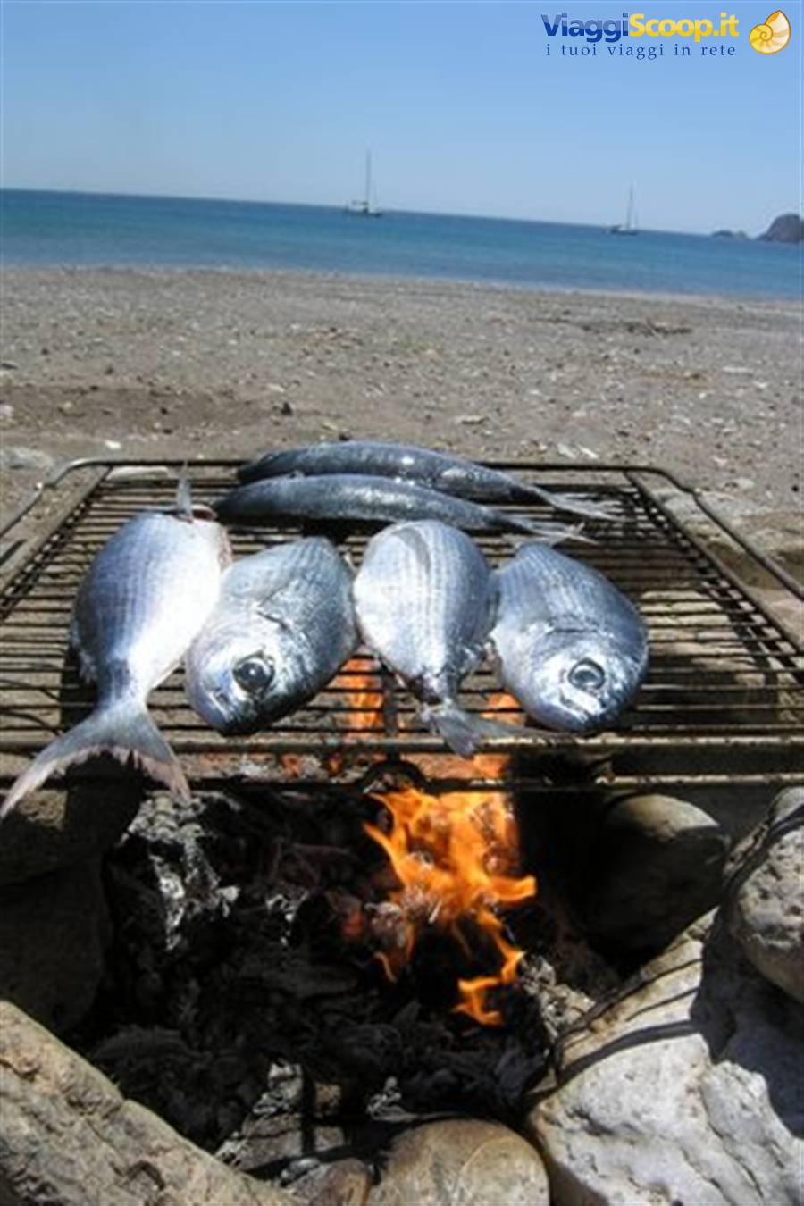 Psarì alla griglia