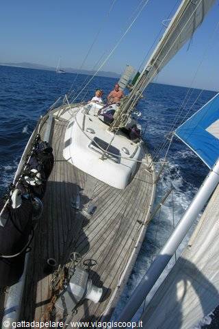 e la Gatta va